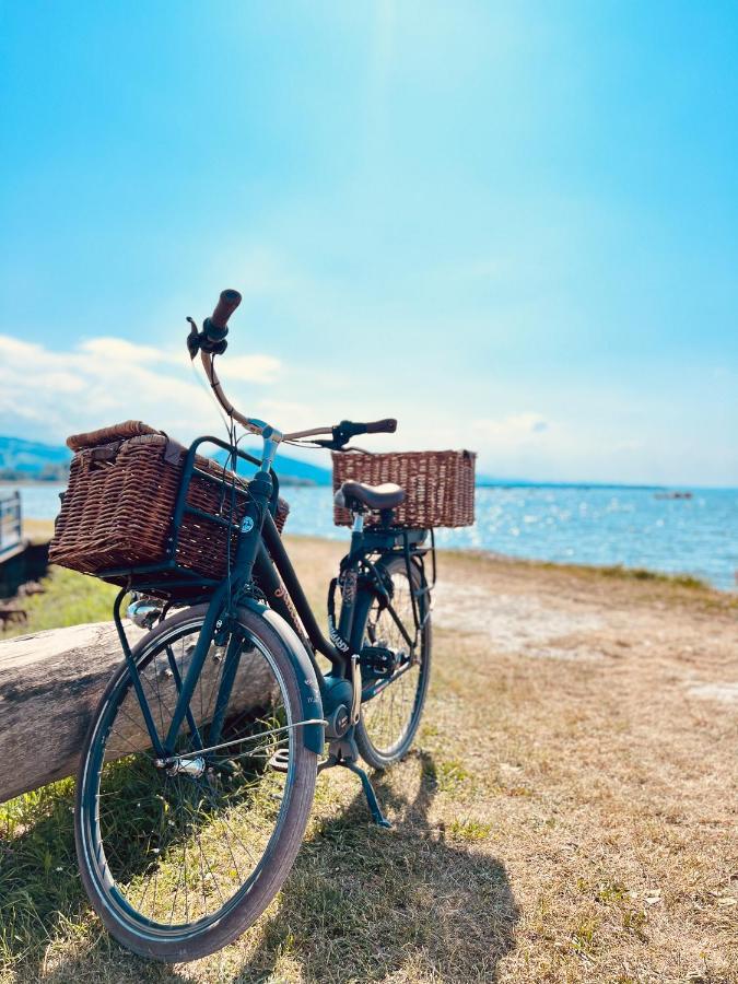 Apartment Sunshine Höchst Екстериор снимка